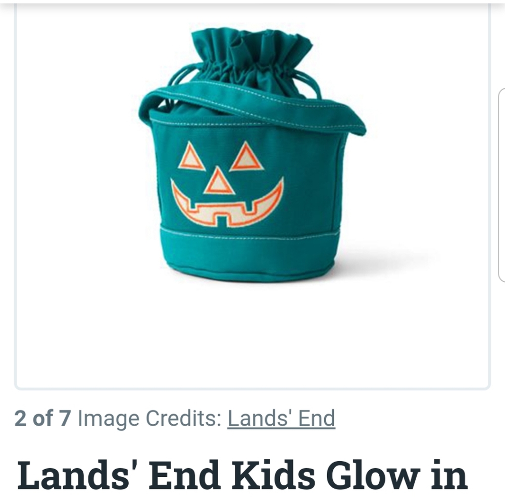 Two teal Land's End Glow in the Dark Halloween Tote